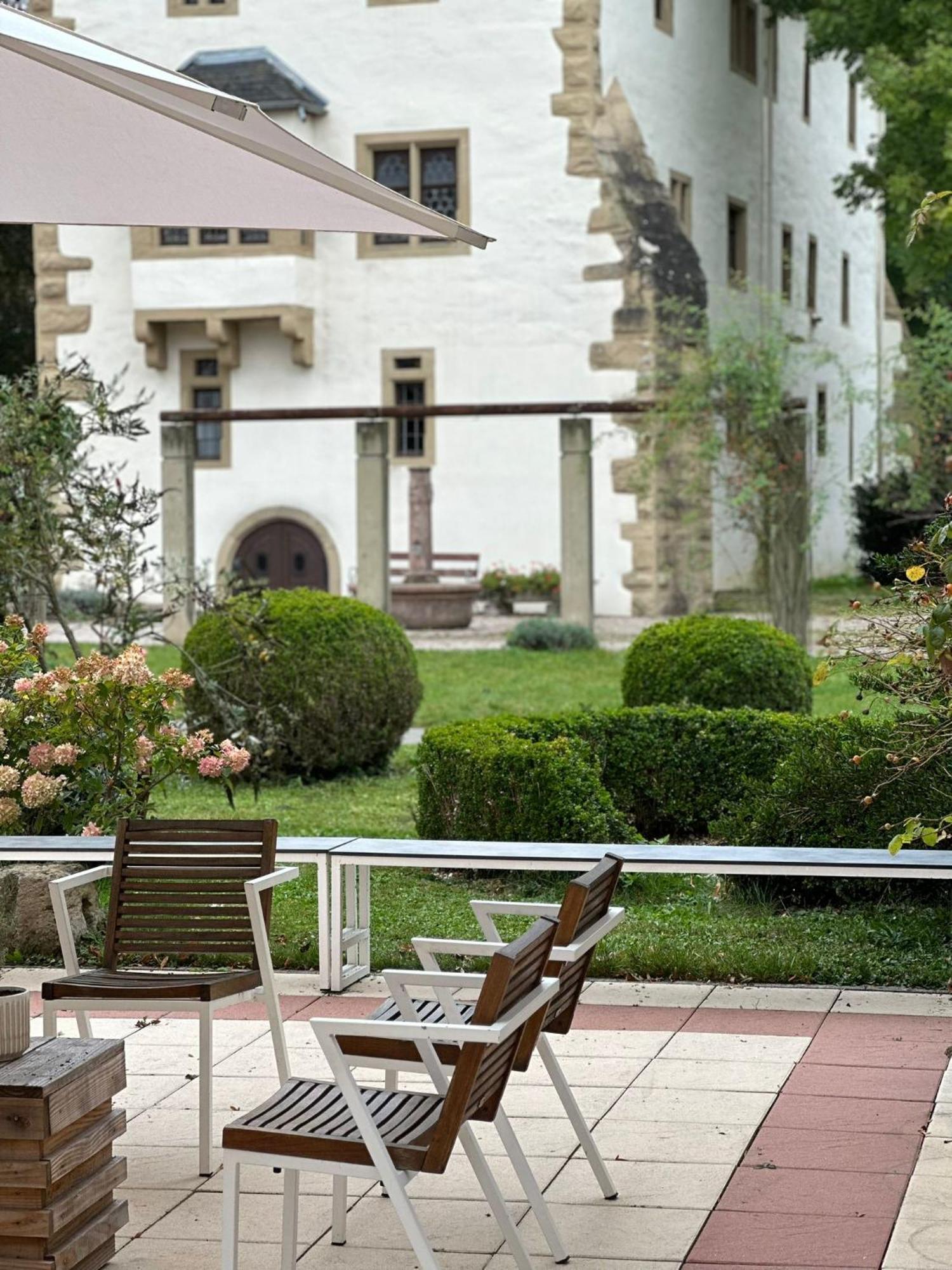 Schloss Neckarbischofsheim מראה חיצוני תמונה